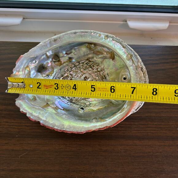 Vintage Abalone Shell – 7” Iridescent Mother of Pearl Display or Smudge Bowl - Picture 7 of 7